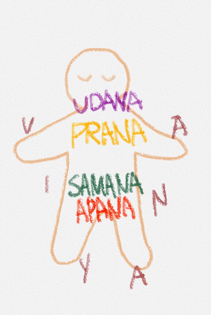 5 types of prana