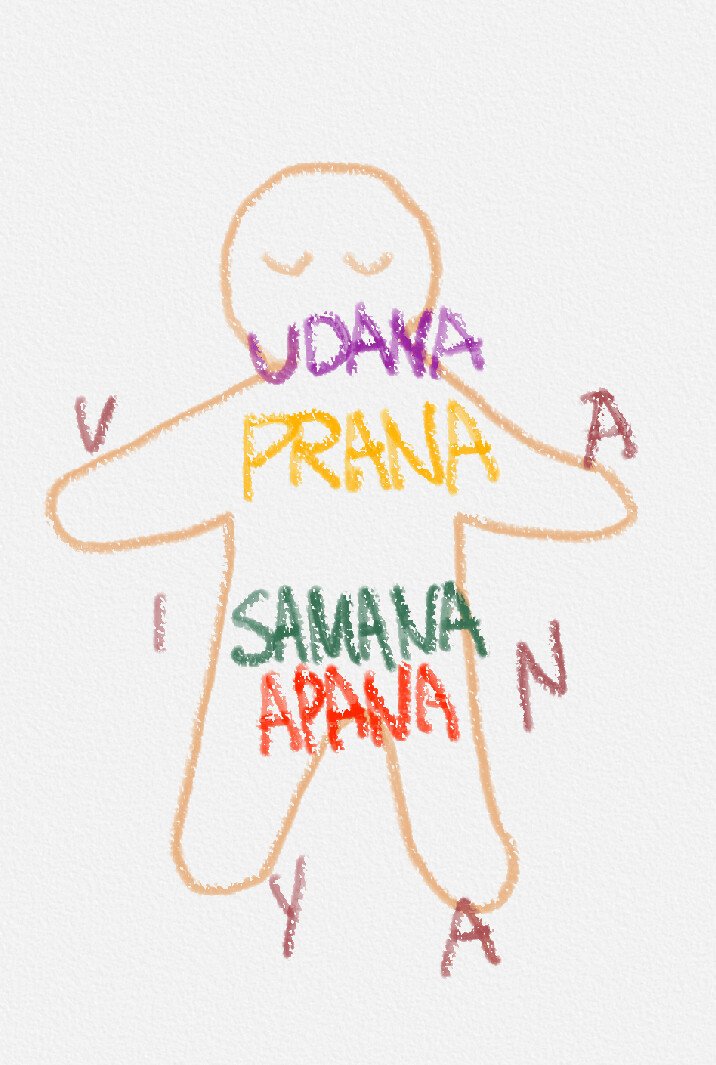 5 types of prana